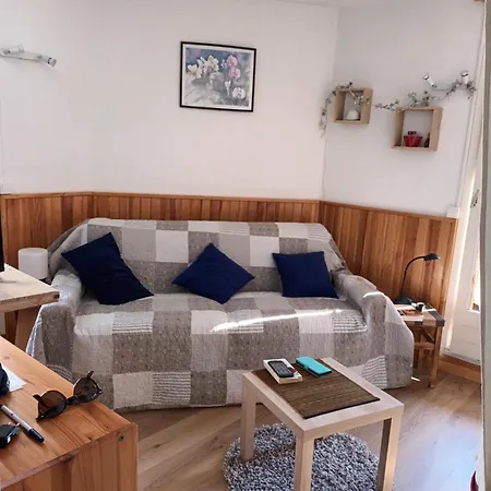 Terrasses De La Foux Coquet 80m Labrau 4 Couchages * Allos