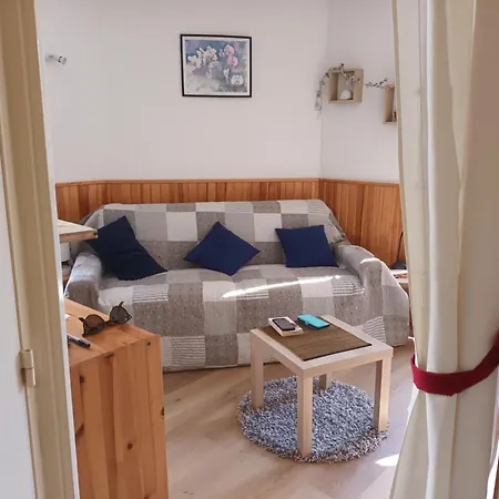 La Foux D'allos Coquet Proche Accès Pistes 4 Couchages Appartement *