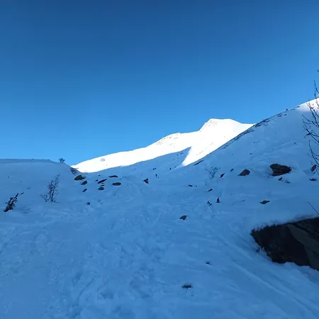 La Foux D'allos Coquet Proche Accès Pistes 4 Couchages *
